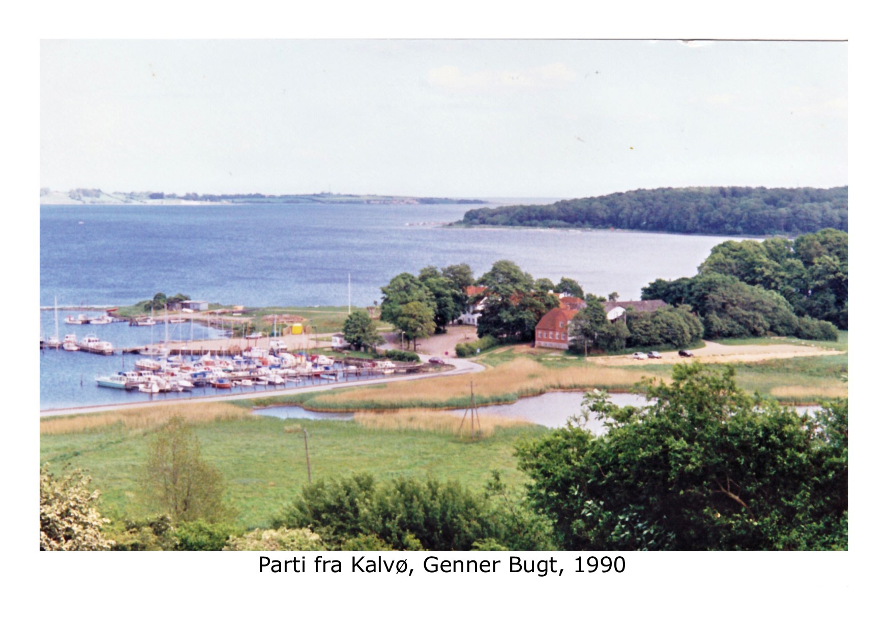 Parti fr kalvø - 1990 