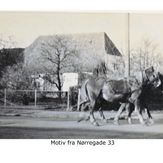 Nørregade 33 