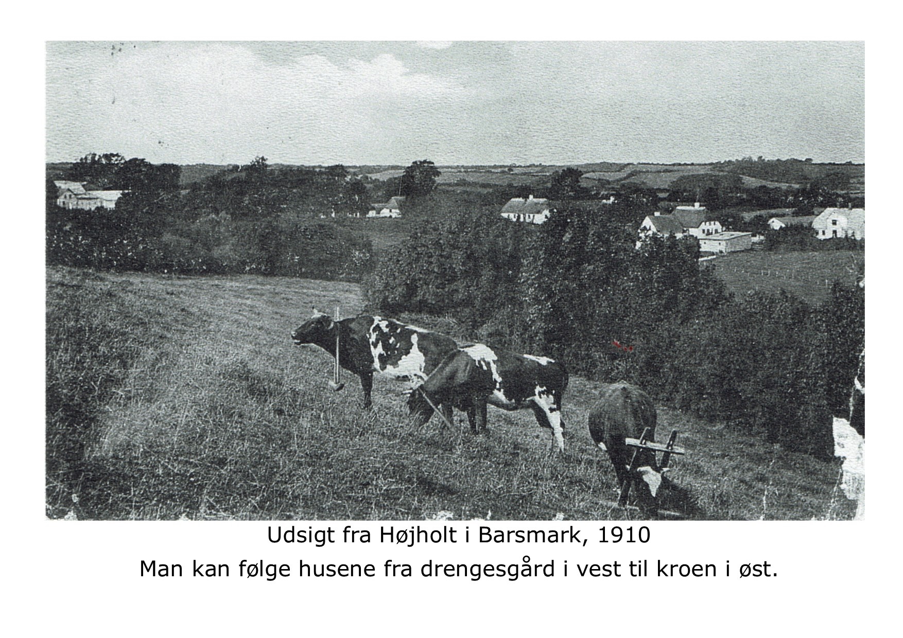 drengesgård 1910