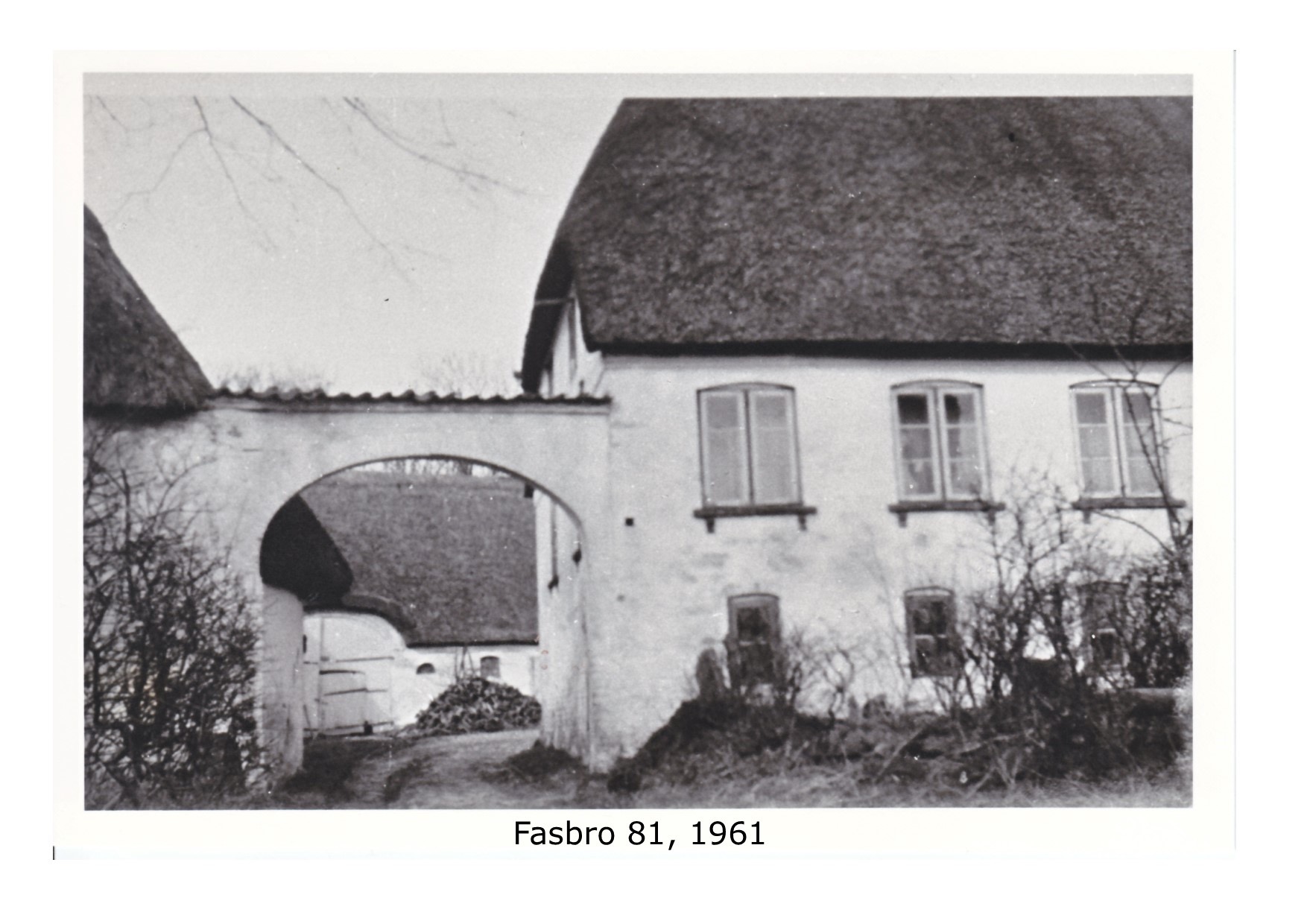Fasbro 81 1961 