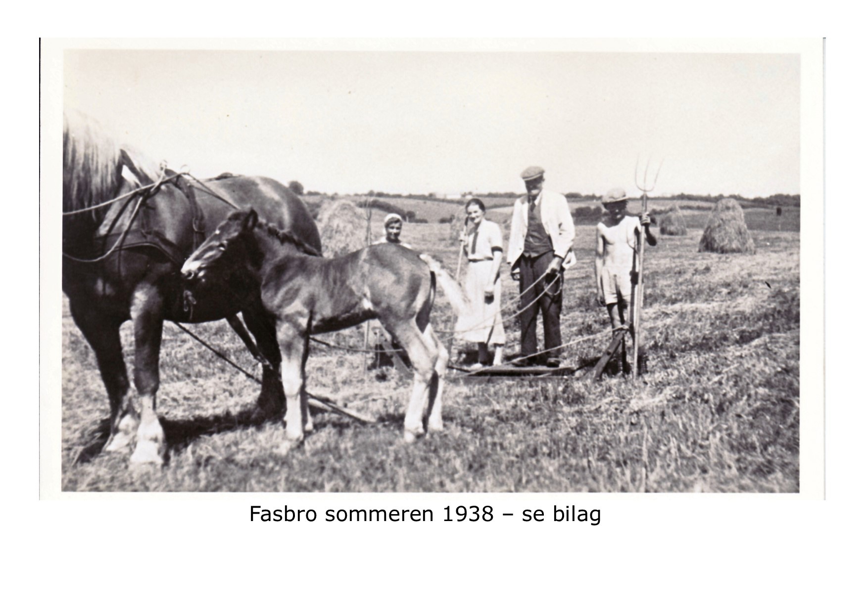 Sommeren 1938 på Fasbro 