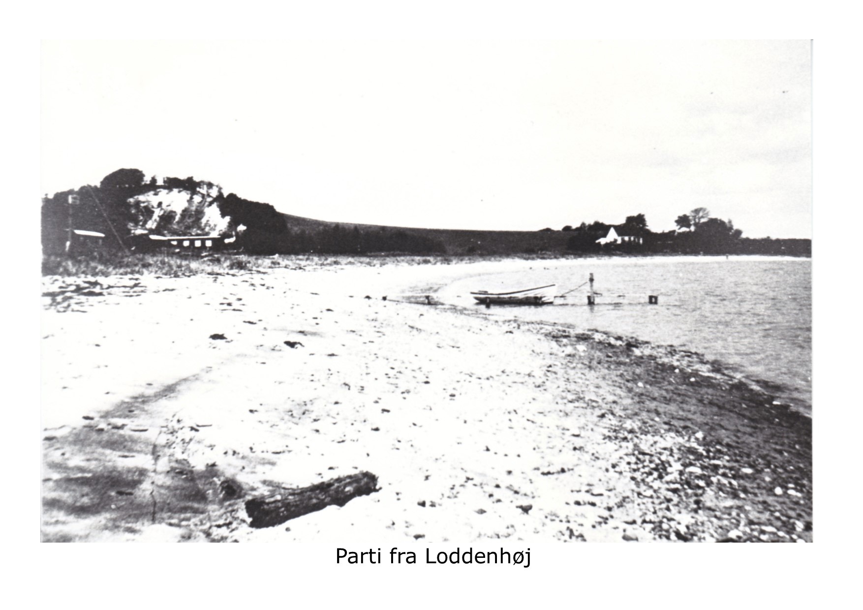 Stranden ved Loddenhøj 
