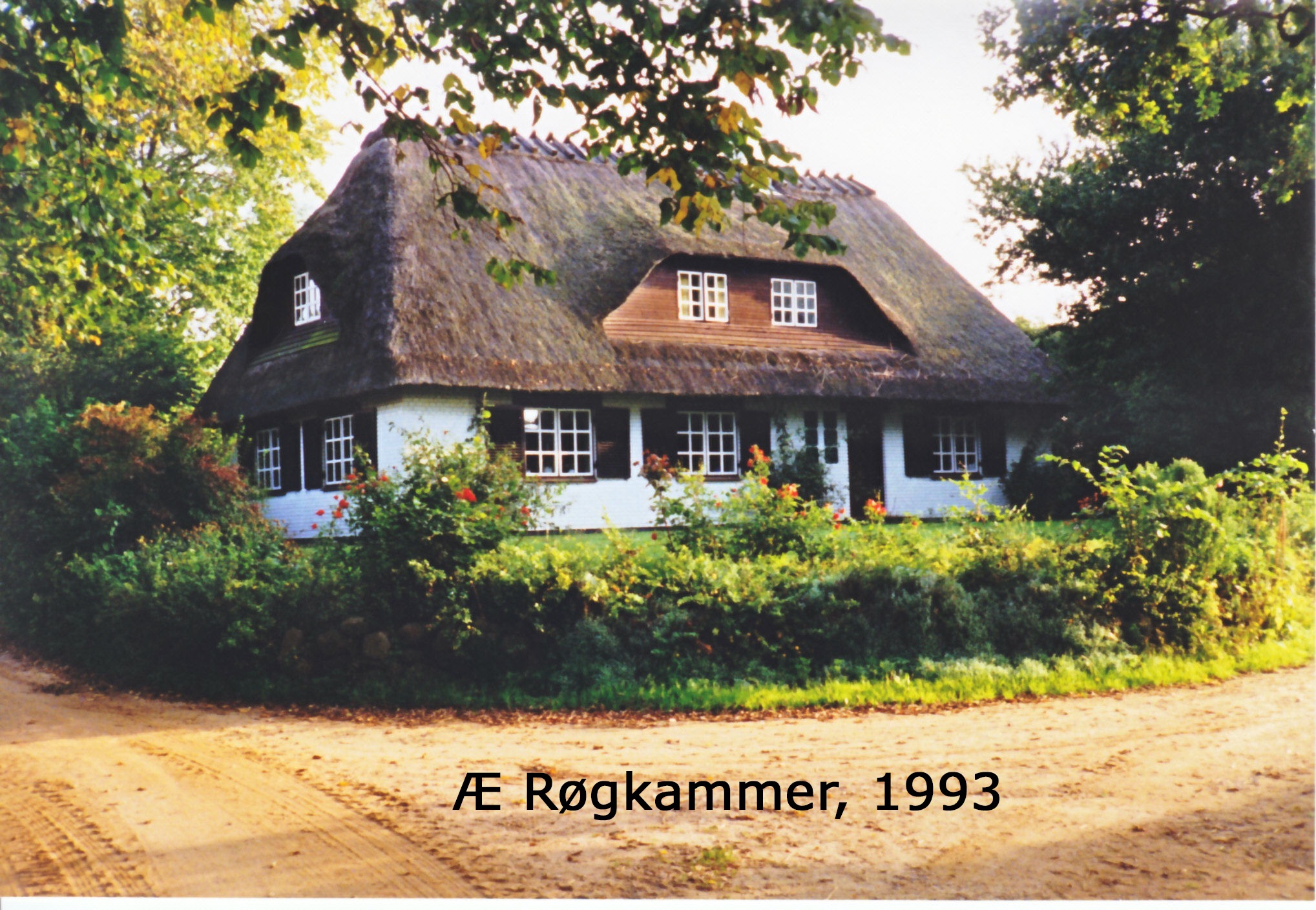Æ Røgkammer 1993 