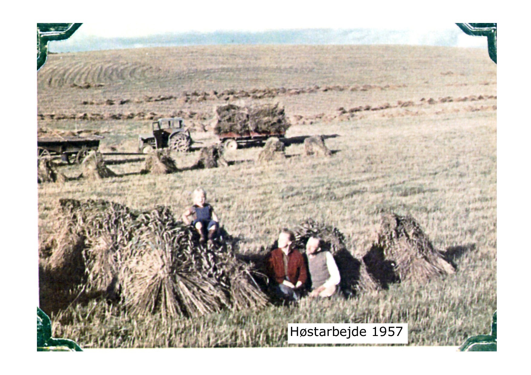 Høstarbejde 1957 