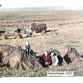 Høstarbejde 1957 