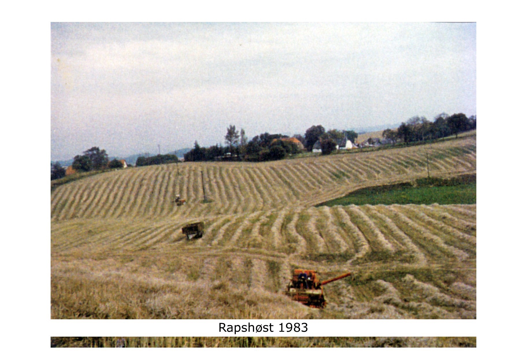 Rapshøst 1983