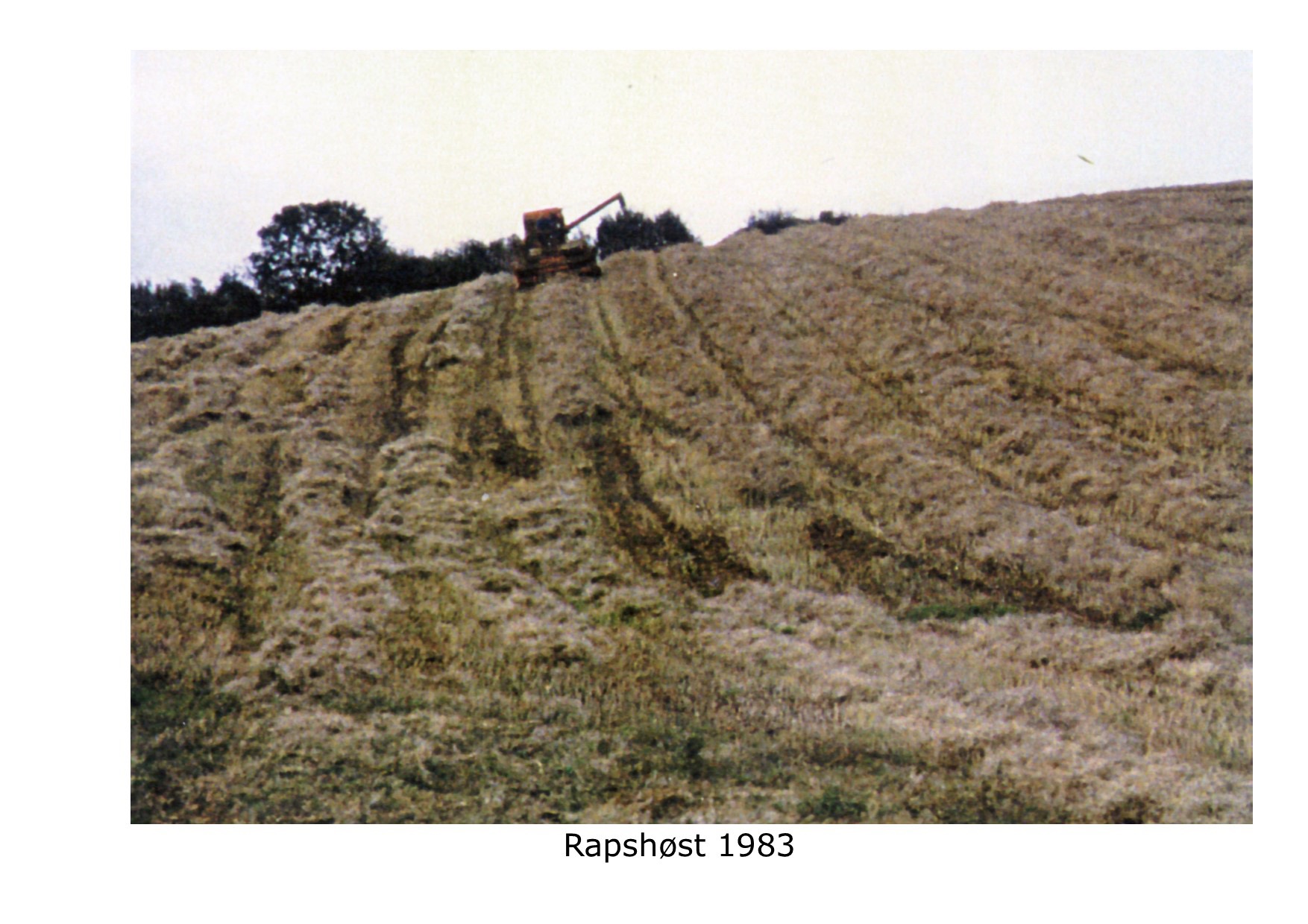 Rapshøst 1983
