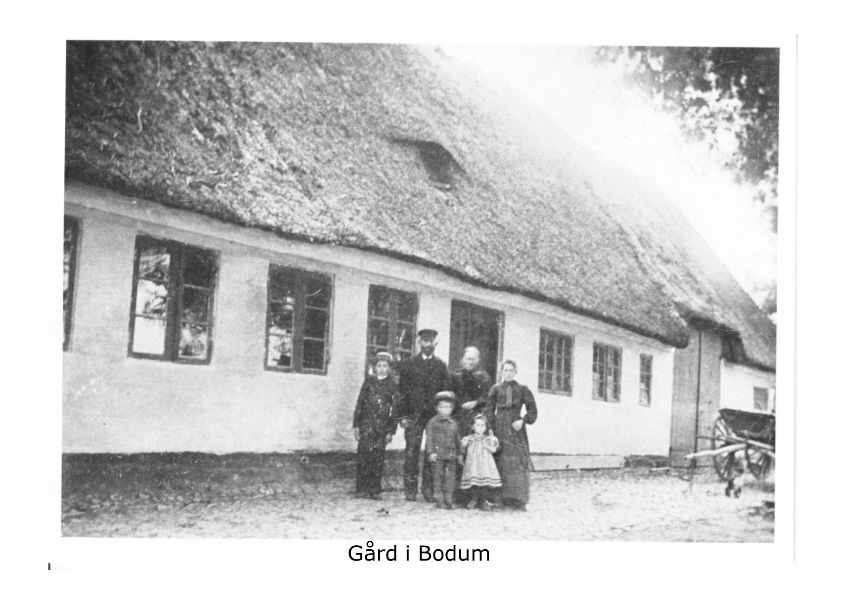 Gård i Bodum