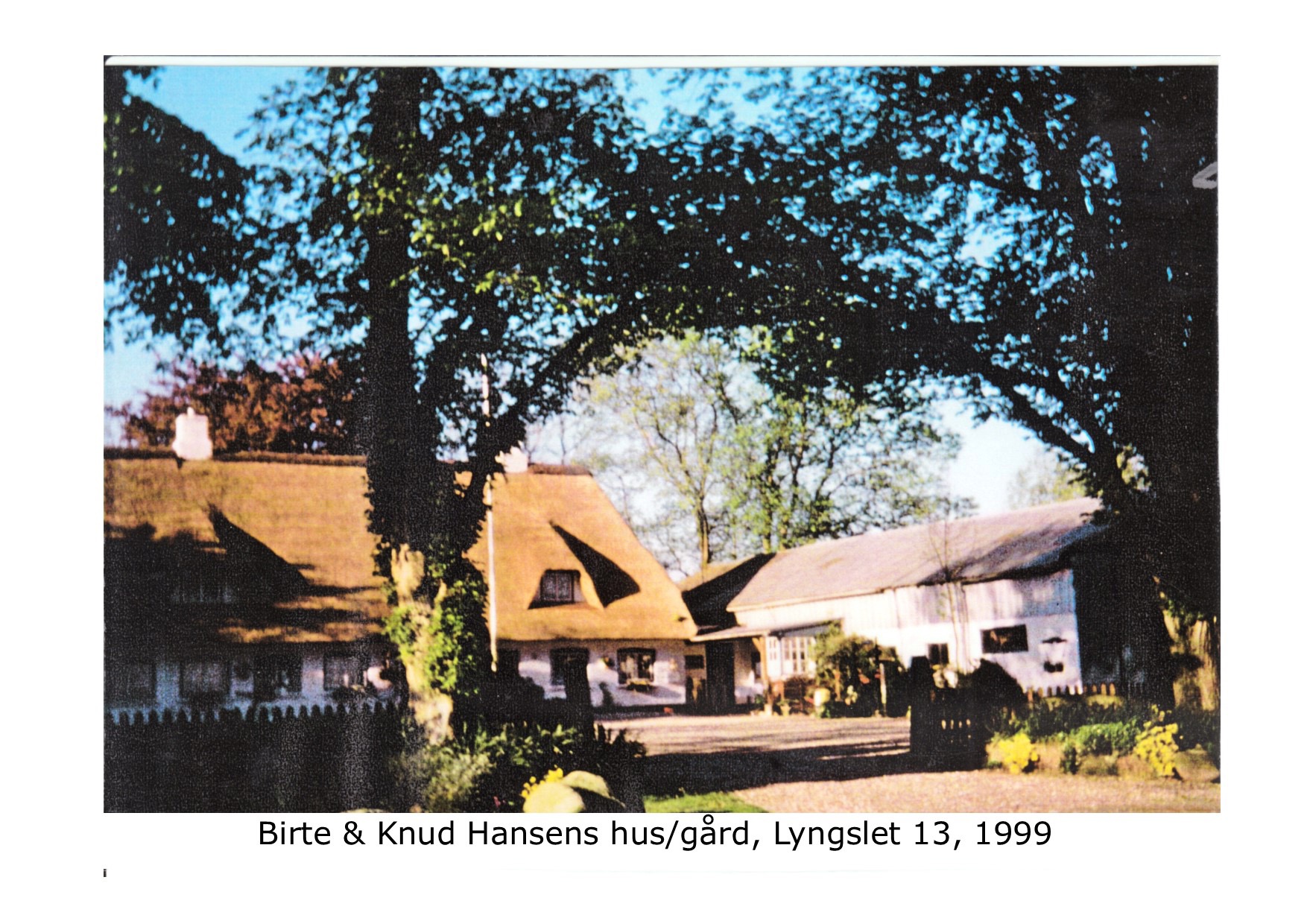 Lyngslet 13 1999