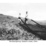 Bodum Mose - tørvedynd køres ud 1943