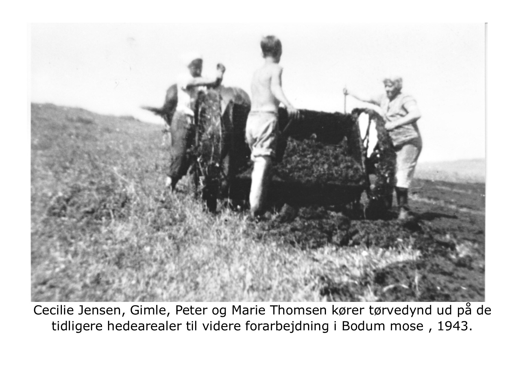 Bodum Mose - tørvedynd til forarbejdning 1943