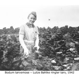 Bodum Mose - Lutze Bøhlke - 1942