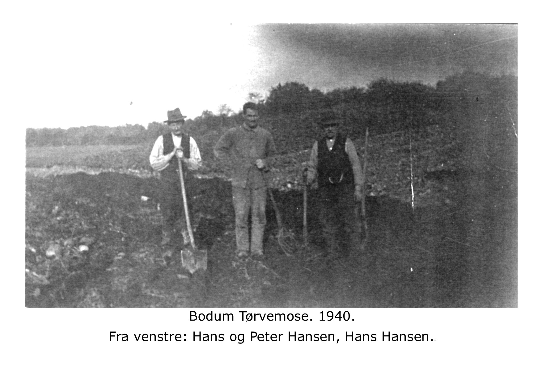 Peter og Hans Hansen - Bodum Tørvemose