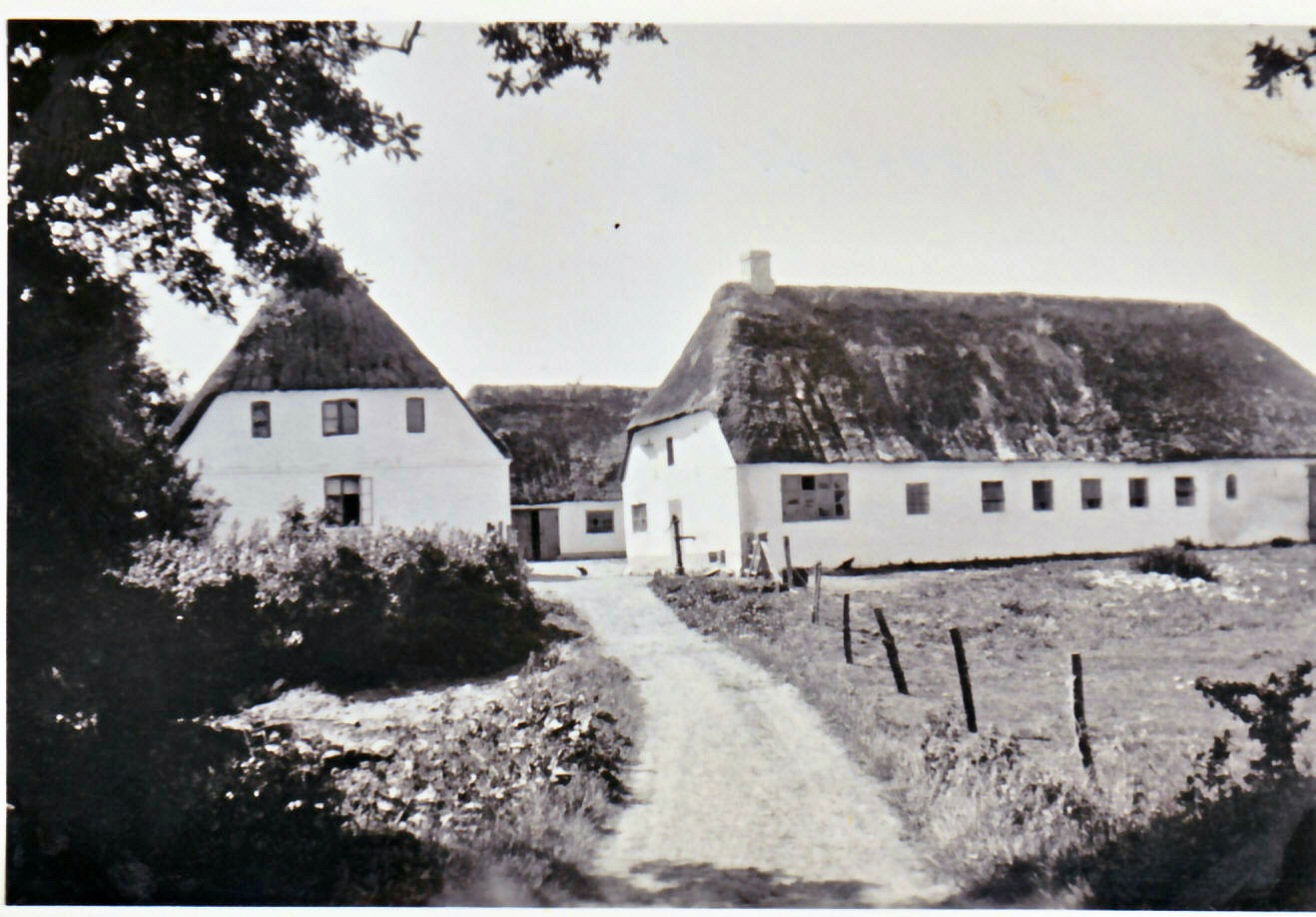 Lammetsbjerg Barsøvej 121