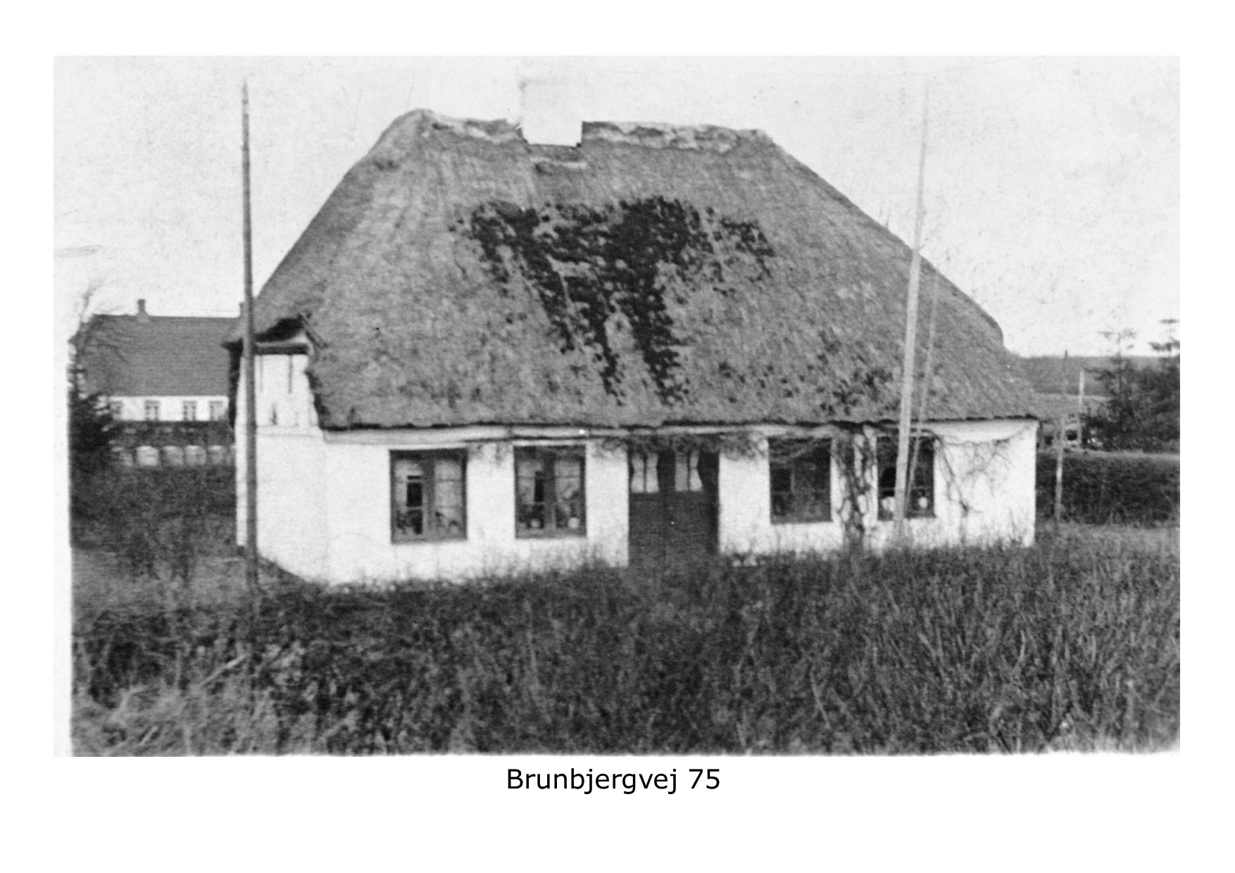 Brunbjervej 75