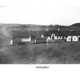 Harbygård, 1900 