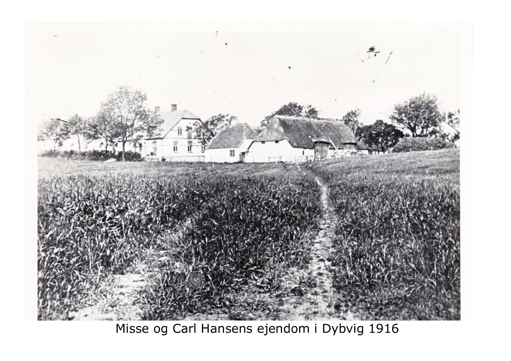 Misse og Carl Hansens gård i Dybvig 1916 