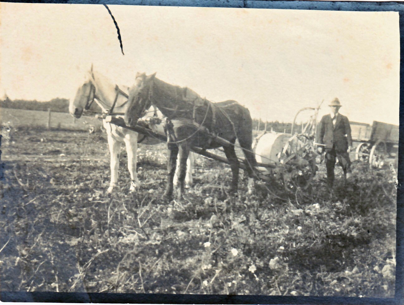 Kartoffeloptagning 1940