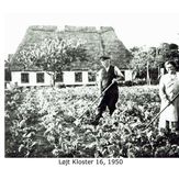 Løjt Kloster 16 1950 