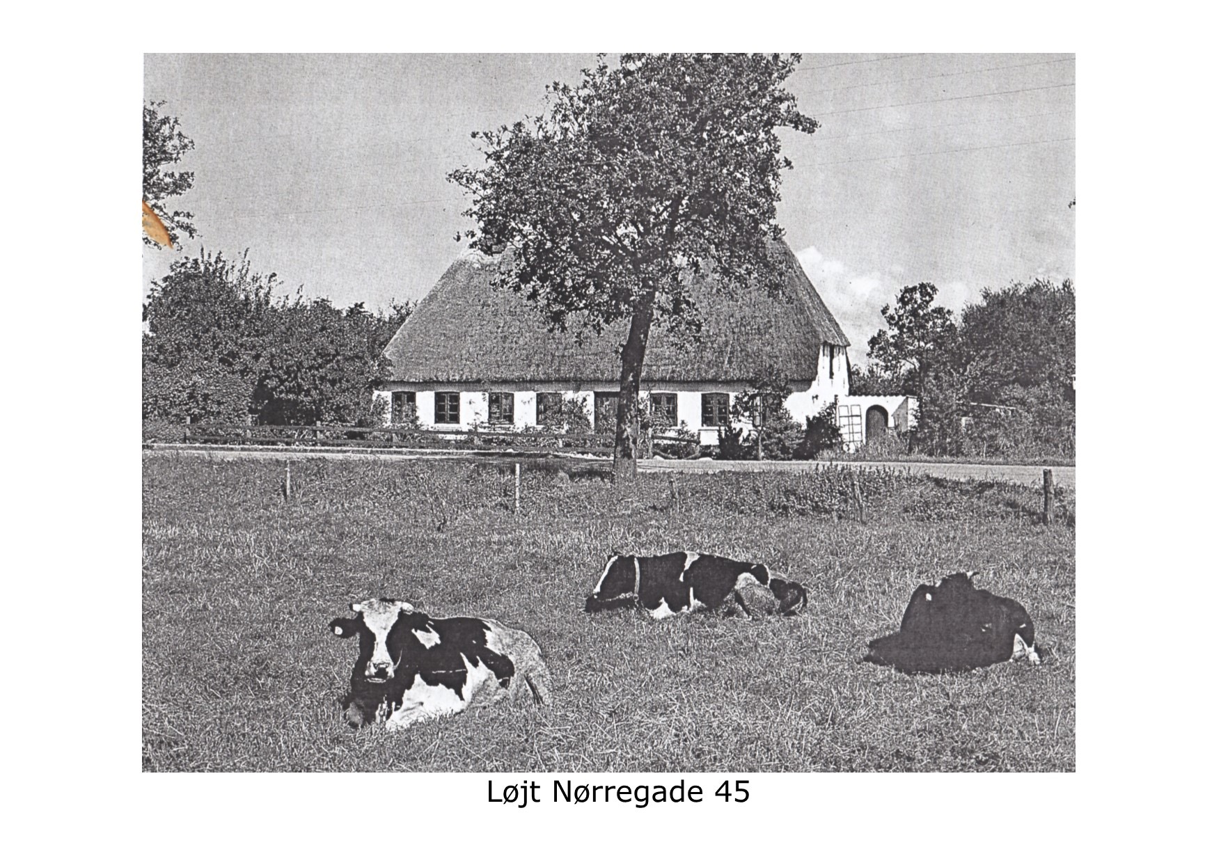 Løjt Nørregade 45