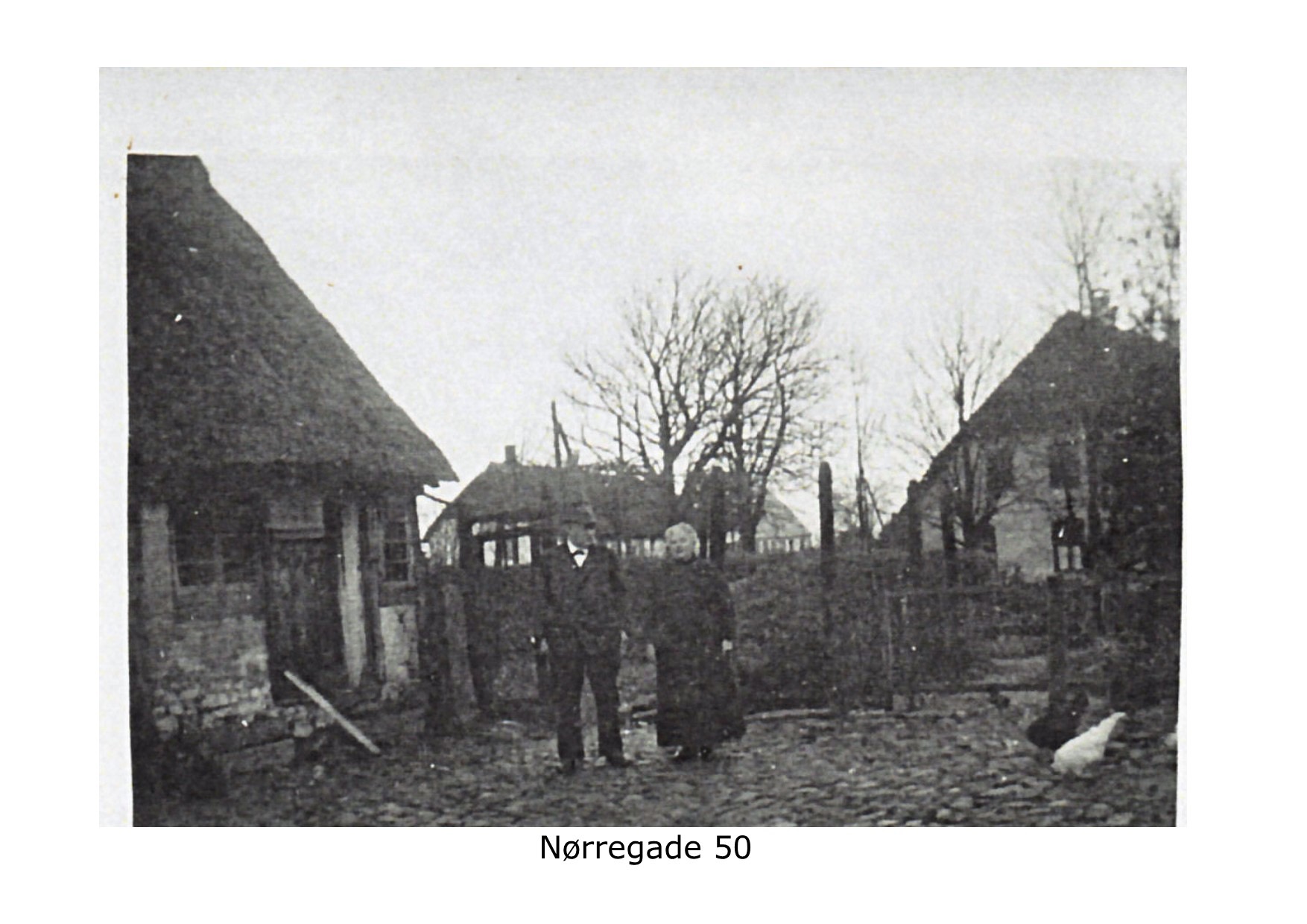 Nørregade 50 