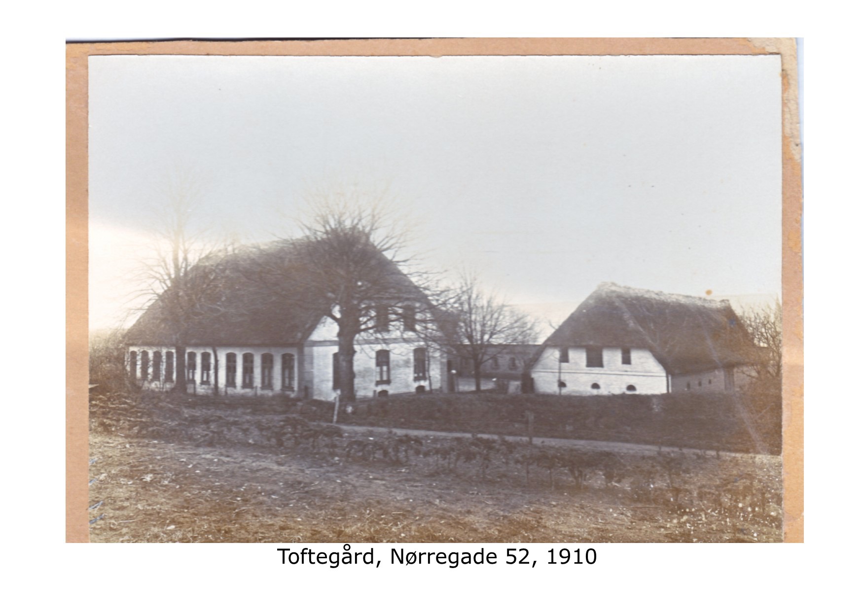 Toftegård i Nørregade 52 - 1910 