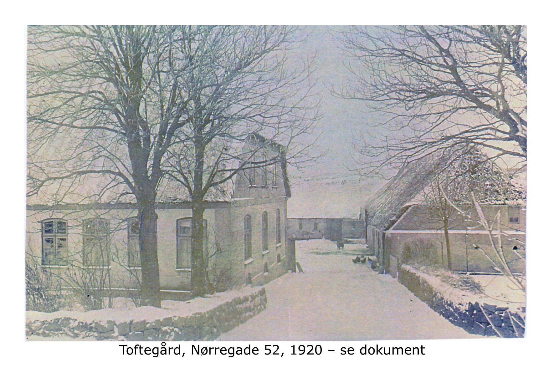 Toftegård Nørregade 52