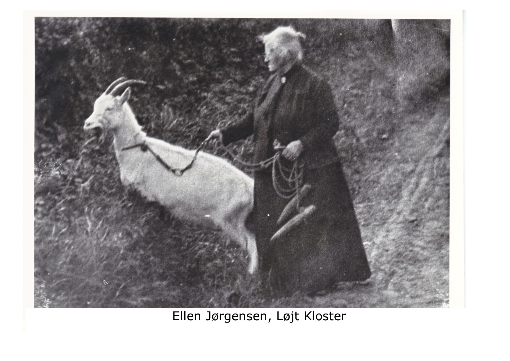 Ellen Jørgensen 