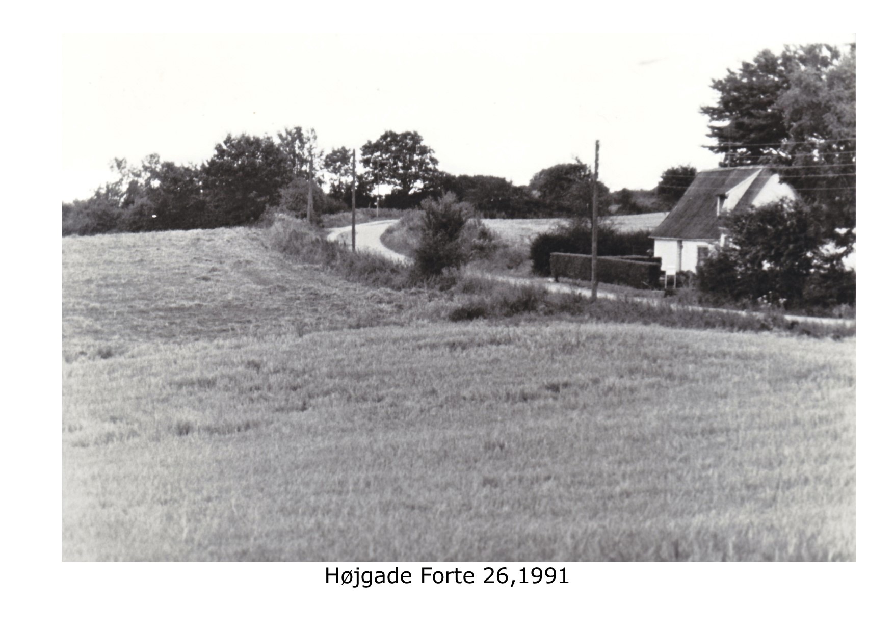 Højgade Forte 26 1991 