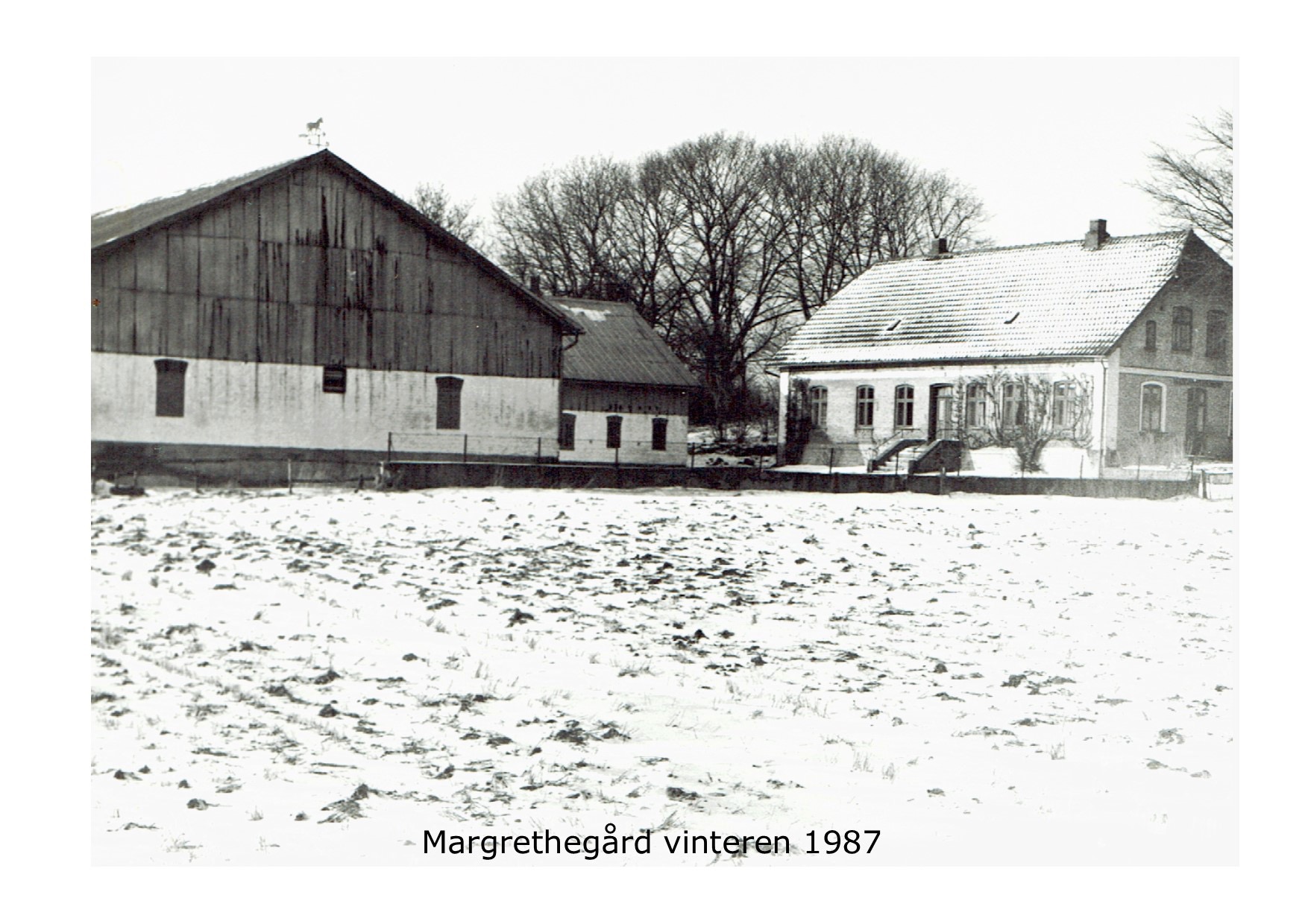 Margrethegård vinter