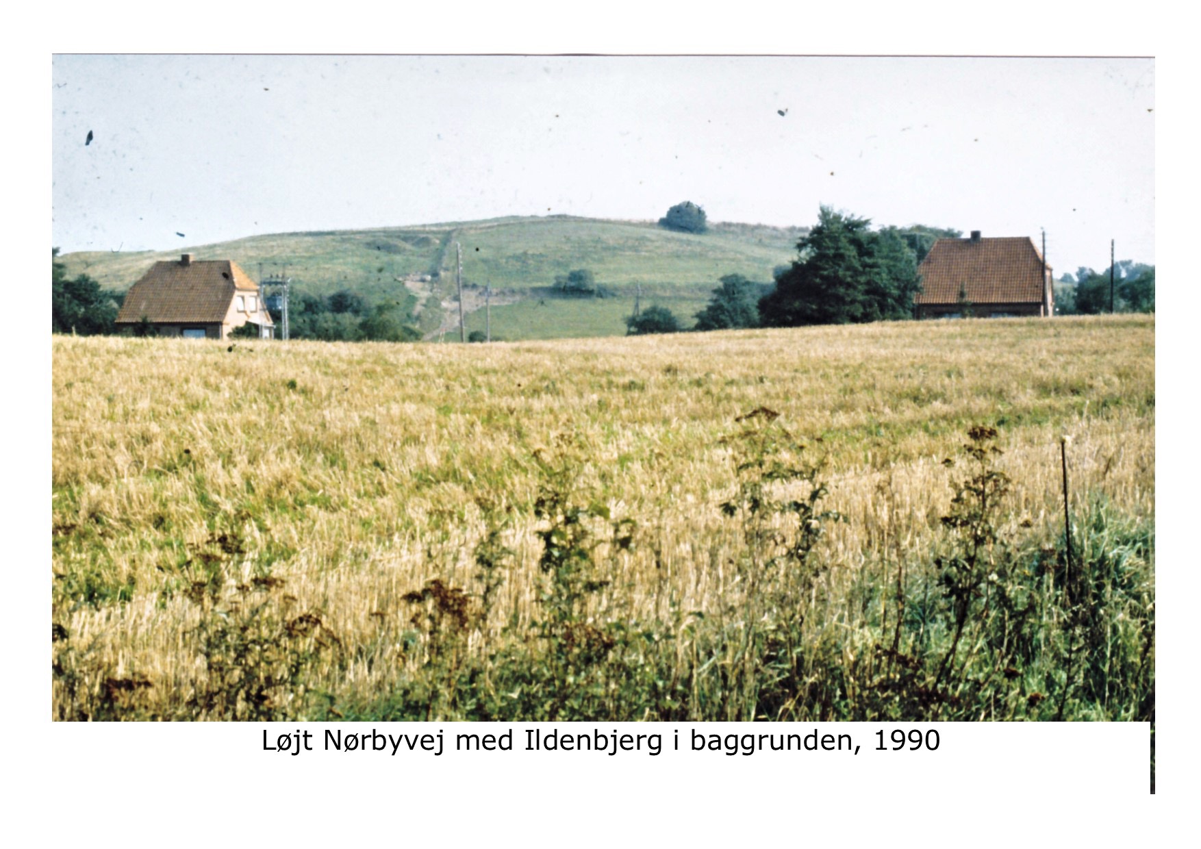 Nørbyvej med Ildenbjerg i baggrunden - 1990 