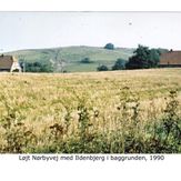 Nørbyvej med Ildenbjerg i baggrunden - 1990 