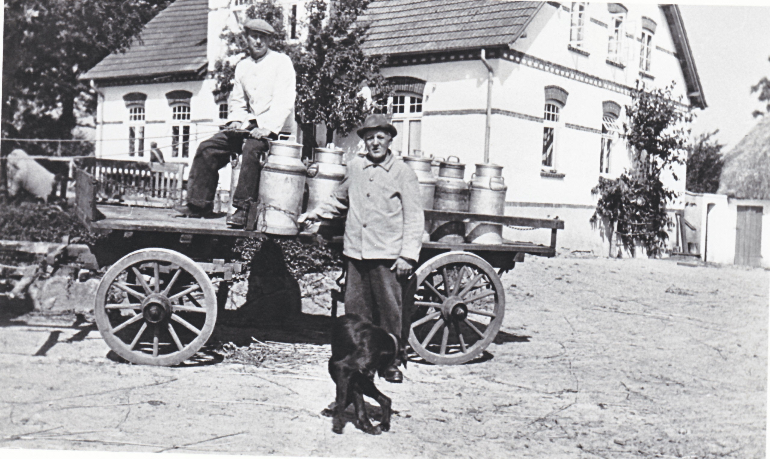 Mælkekusk Heinrich Petersen og Peter Kjer 1950
