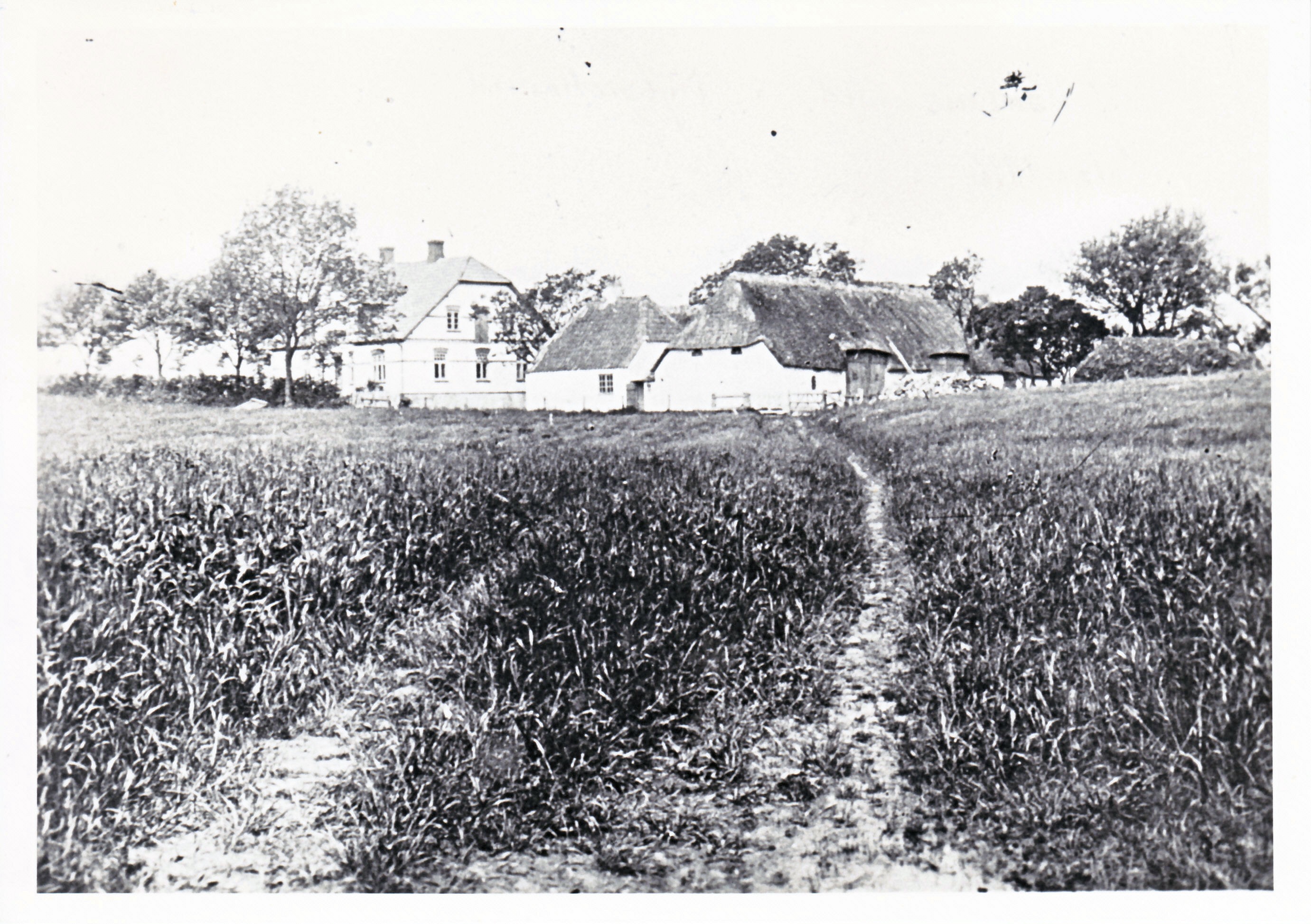 Misse og Carl Hansens gård i Dybvig 1916