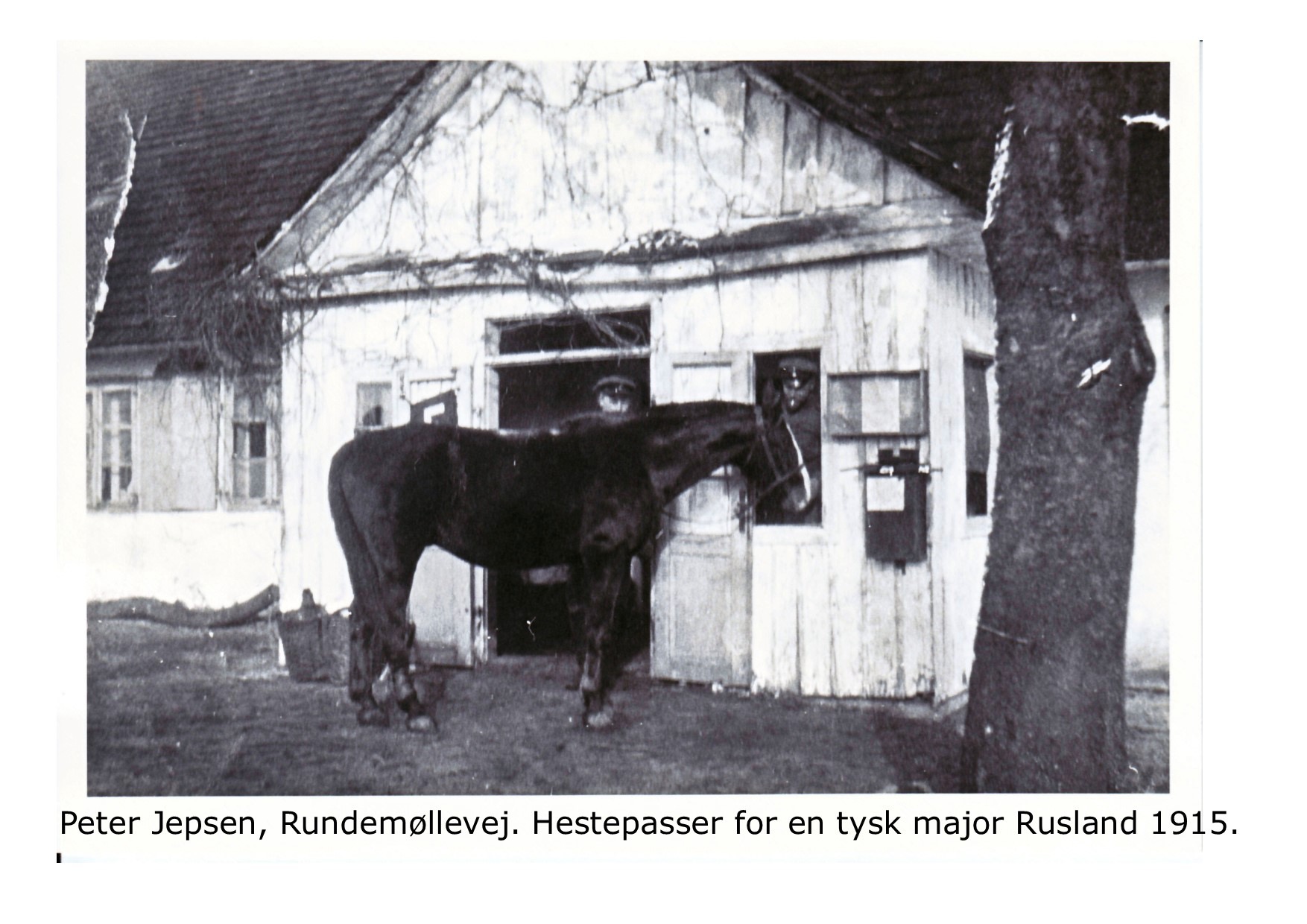 Hestepasser 1915 