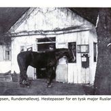 Hestepasser 1915 