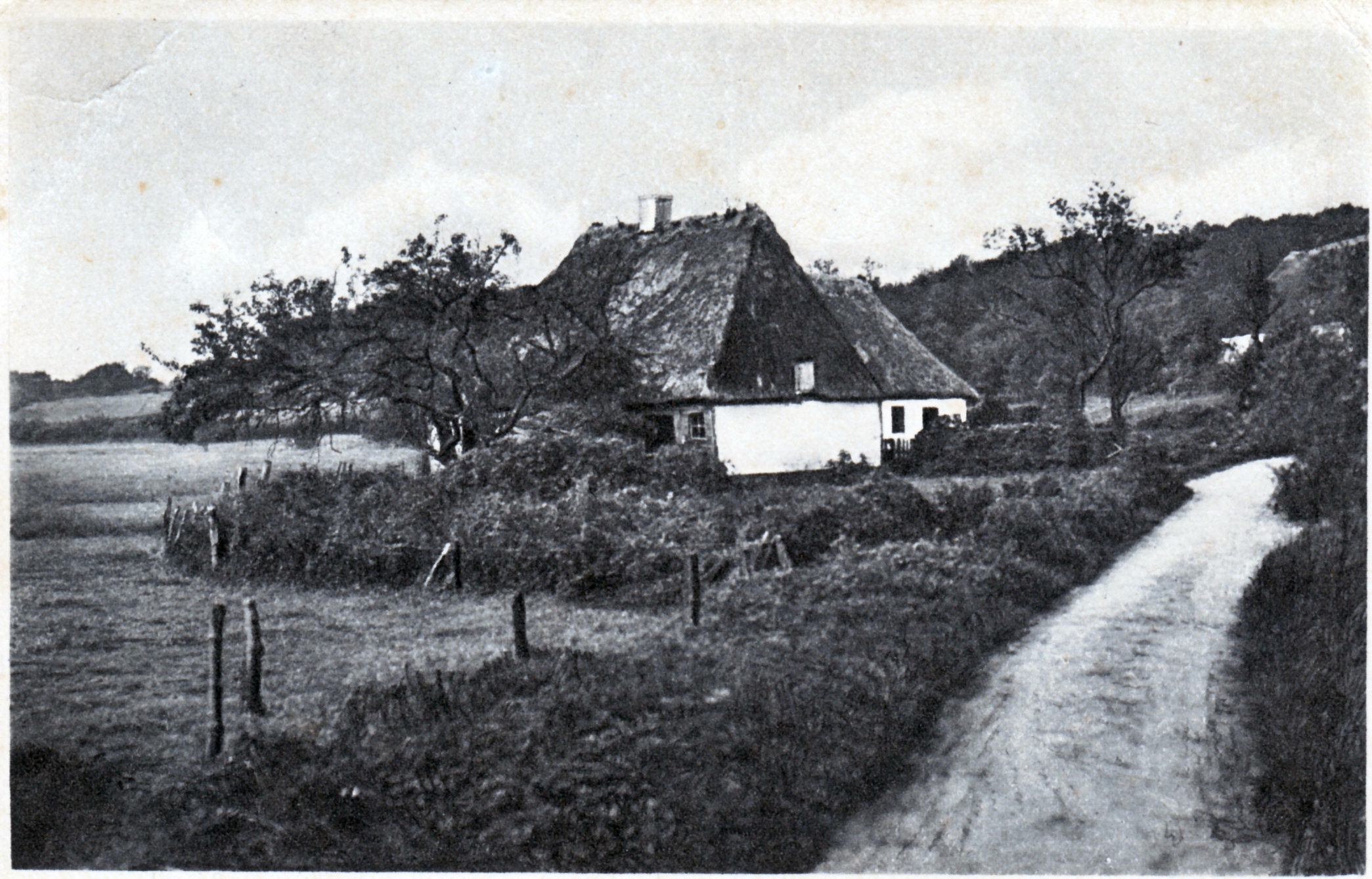 Ved Åbæk 1917