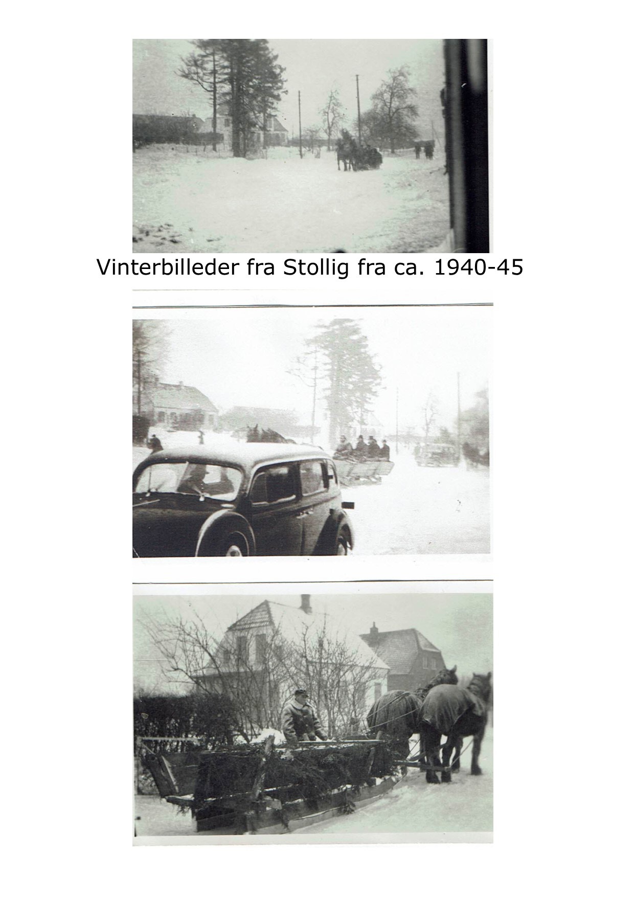 Vinterbilleder fra Stollig 