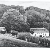Stenbjerg Mølle 1925se bemærkninger