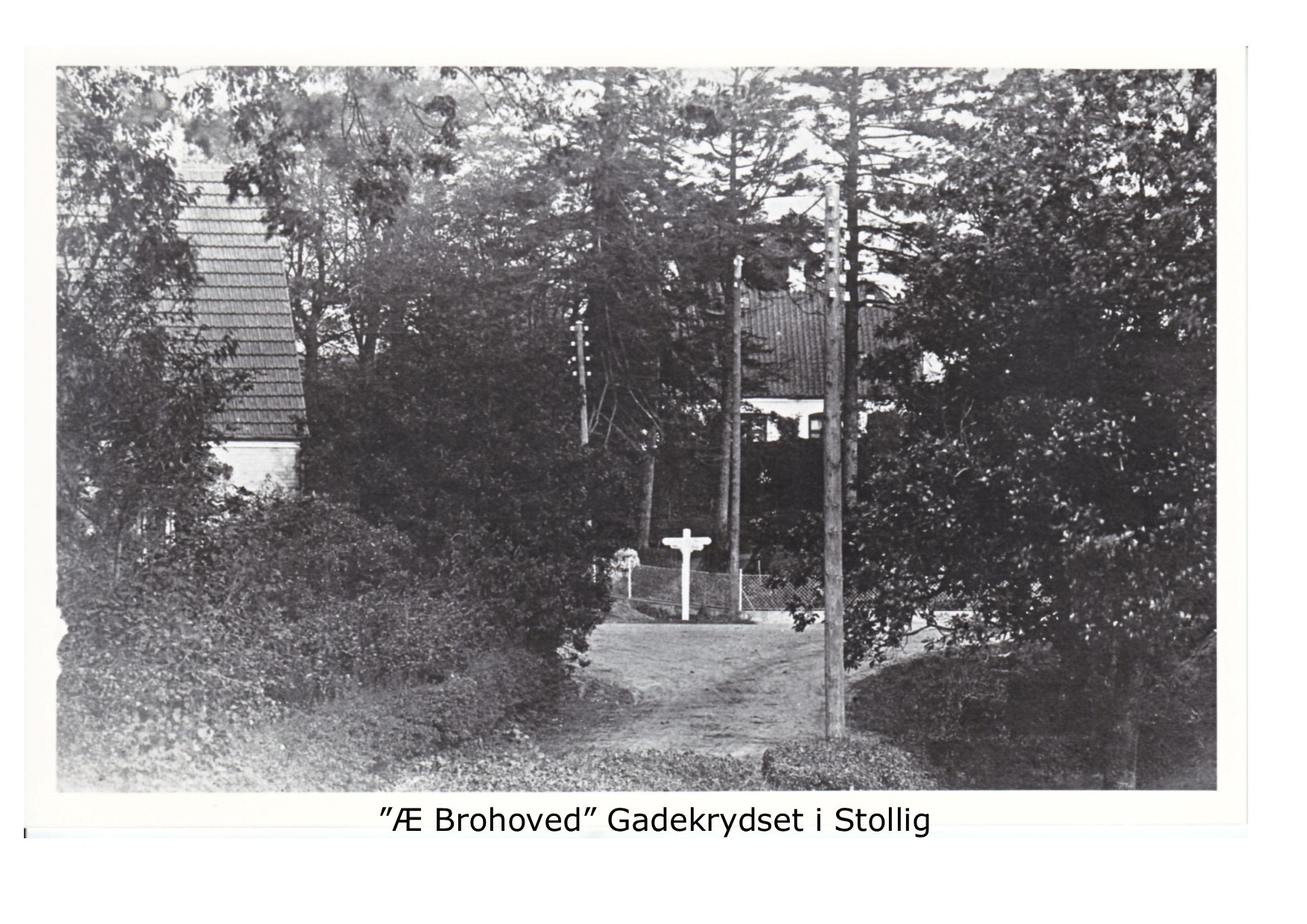 Æ Brohoi 1929 
